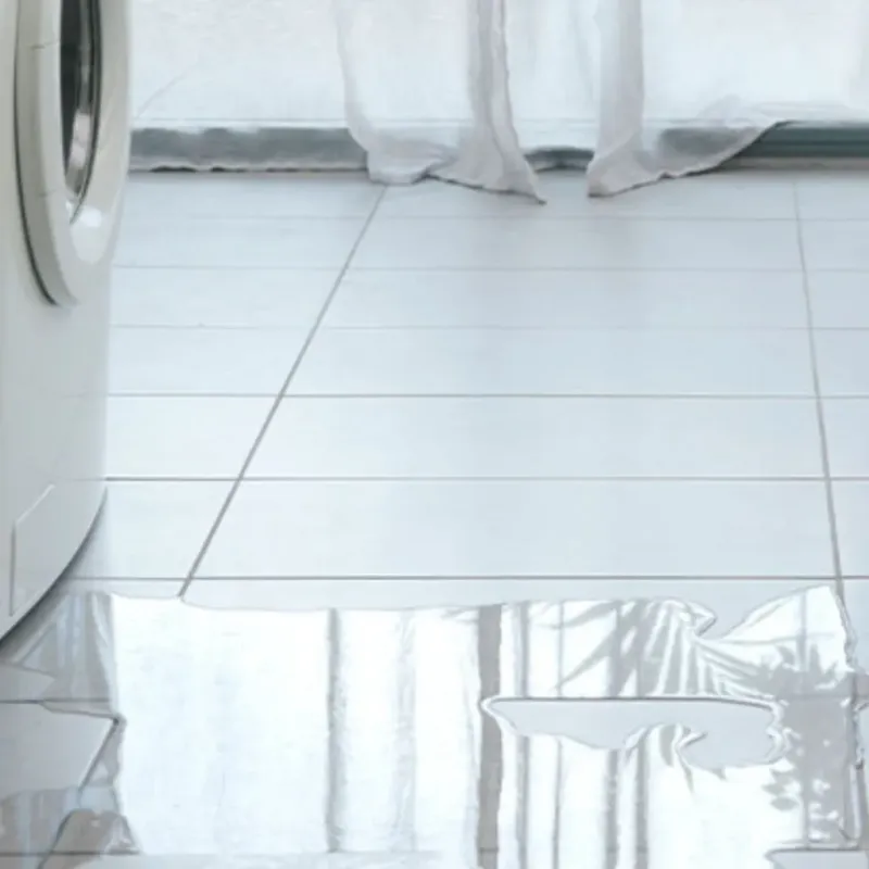 Appliance Leak Cleanup in Jackson, KY