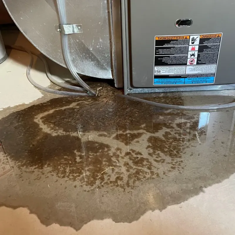 Pipe Burst and Leak Restoration in Jackson, KY