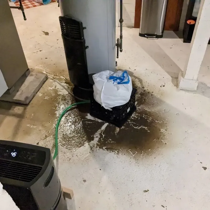 Sewage Backup Cleanup Service in Jackson, KY